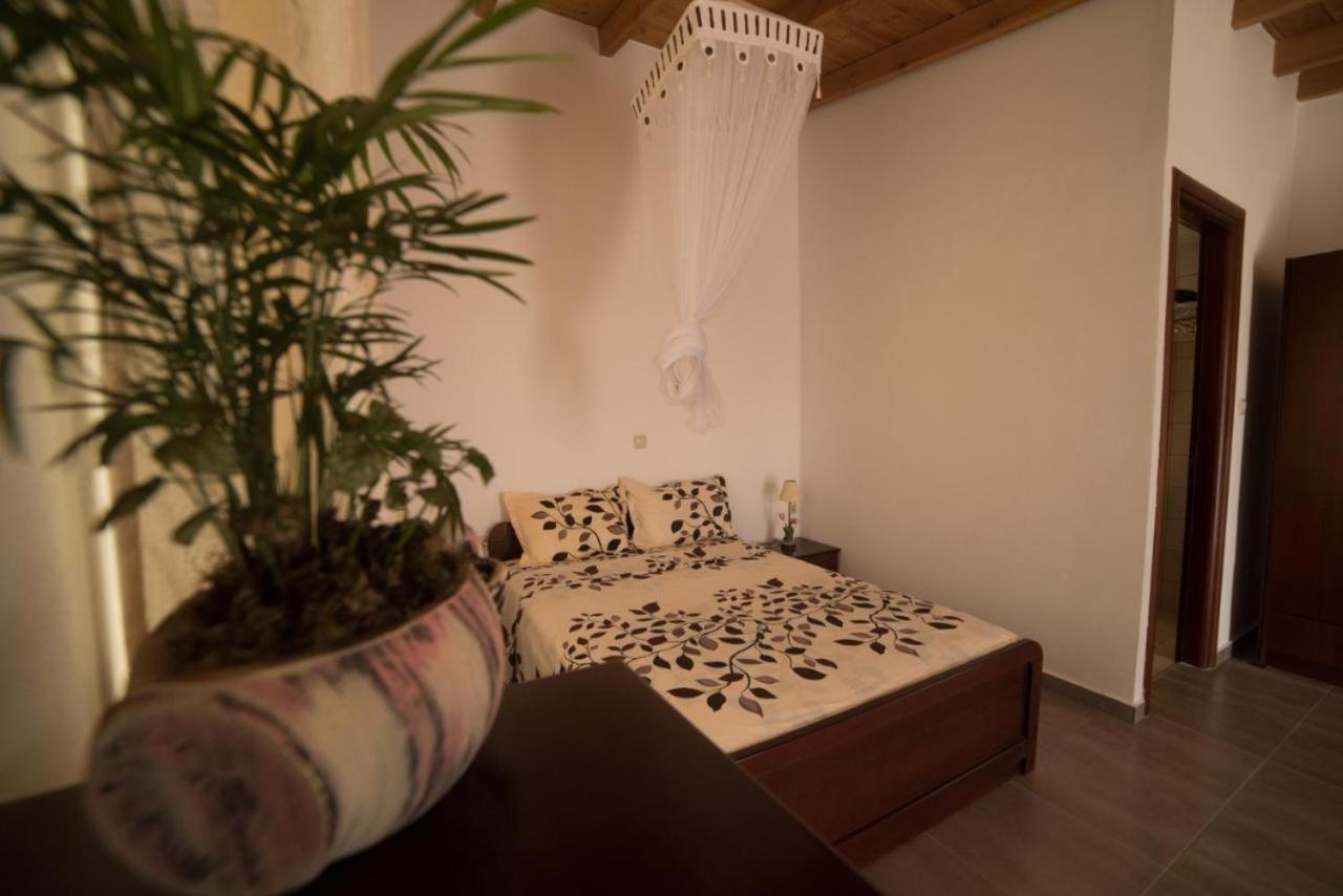 Bodikos Apartments Pitsidia Dış mekan fotoğraf